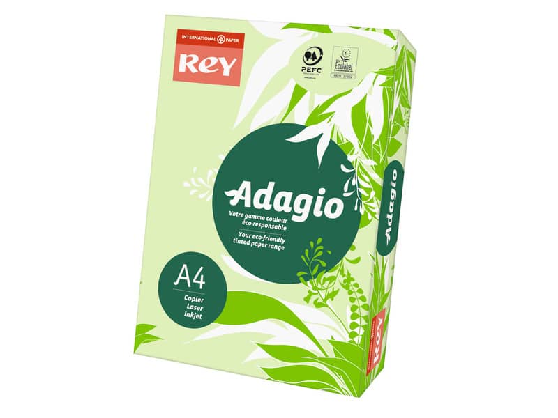 Cartoncini colorati A4 verde INTERNATIONAL PAPER Rey Adagio 160 -  Minorprezzo